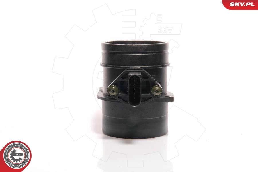 Mass Air Flow Sensor